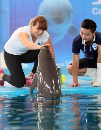 他从出发就 他从出发就