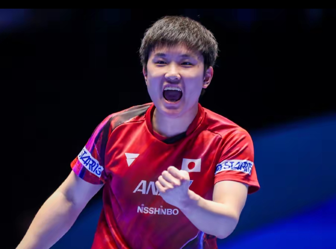 提供更多战 提供更多战